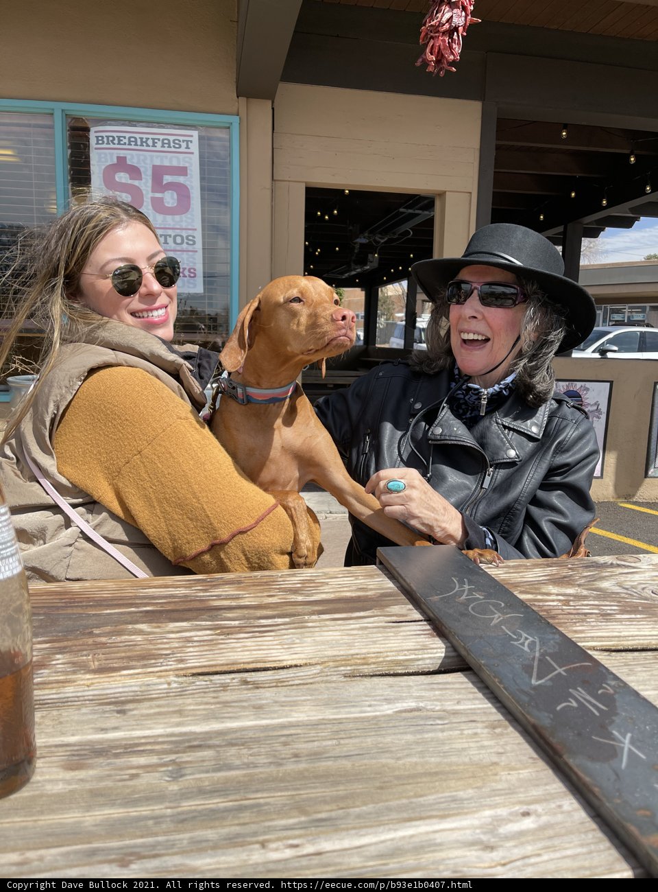 Table for Two: A Woman and Her Dog