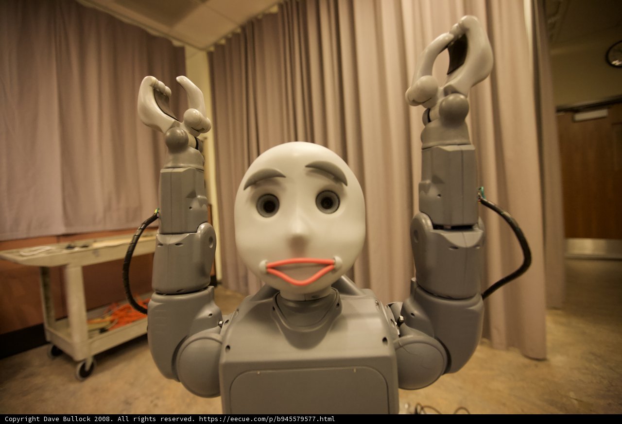 Robotic Surrender