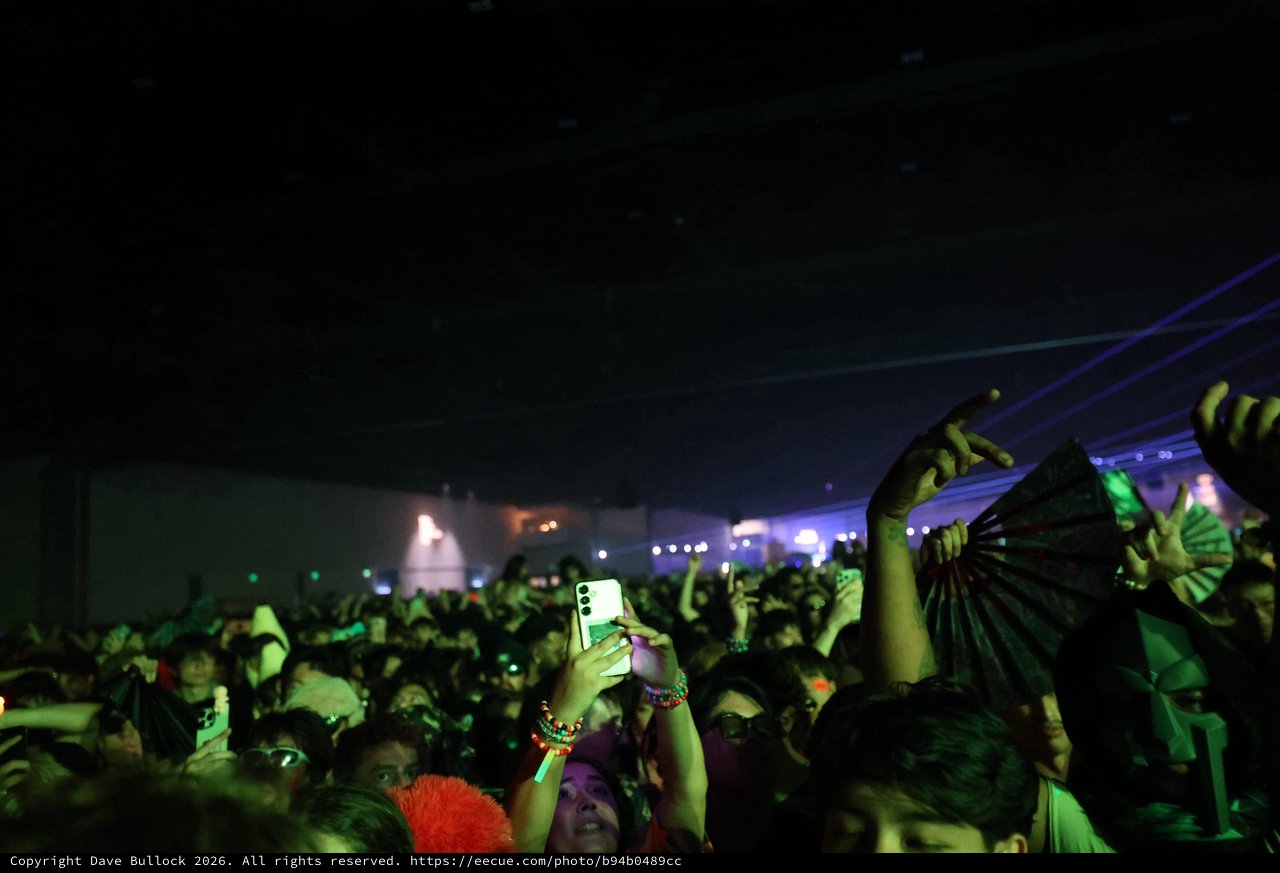 Electric Night: Crowd Surges at Wobbleland 2026