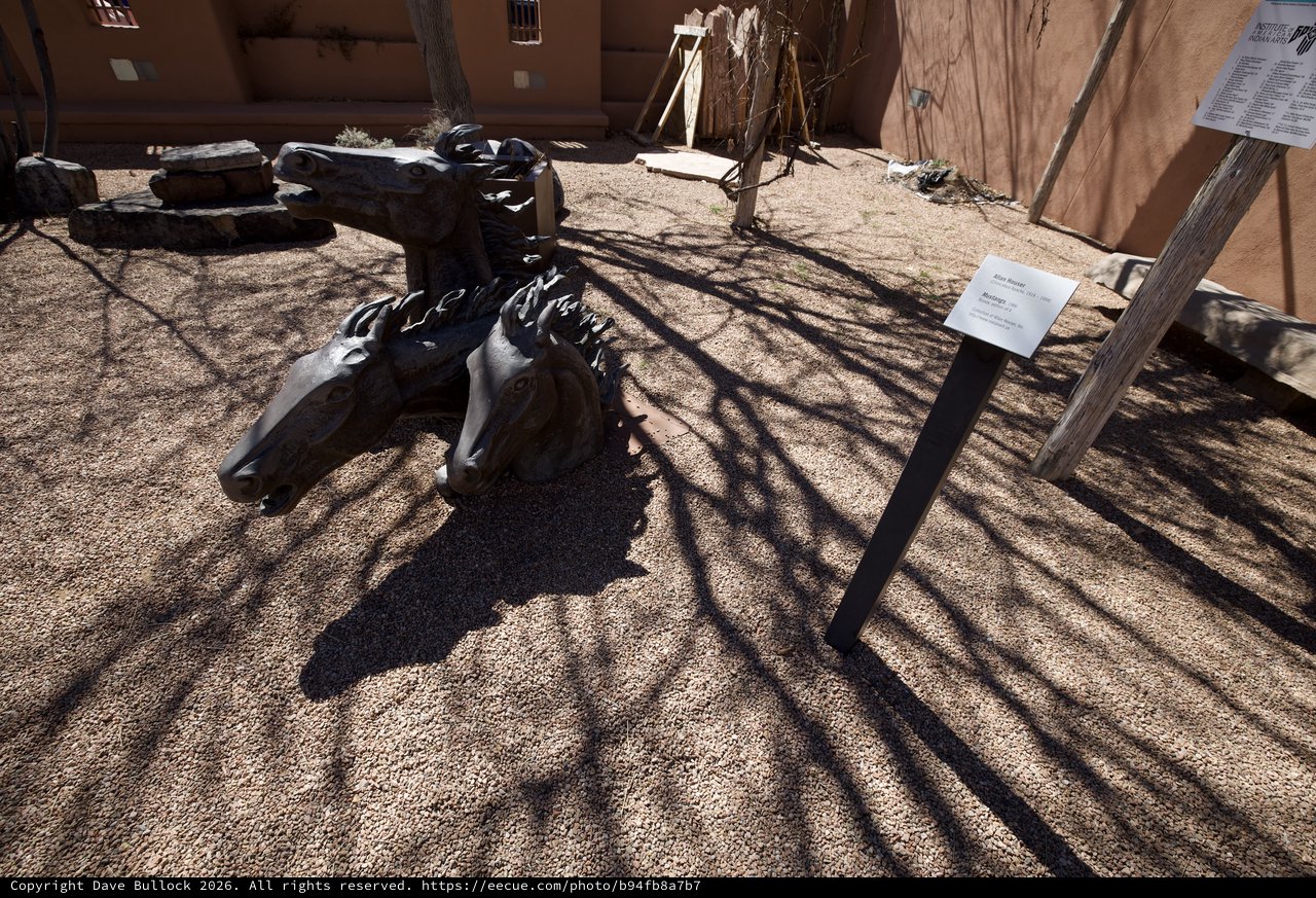 Fossilized Dinosaur Skull Display in Desert Courtyard