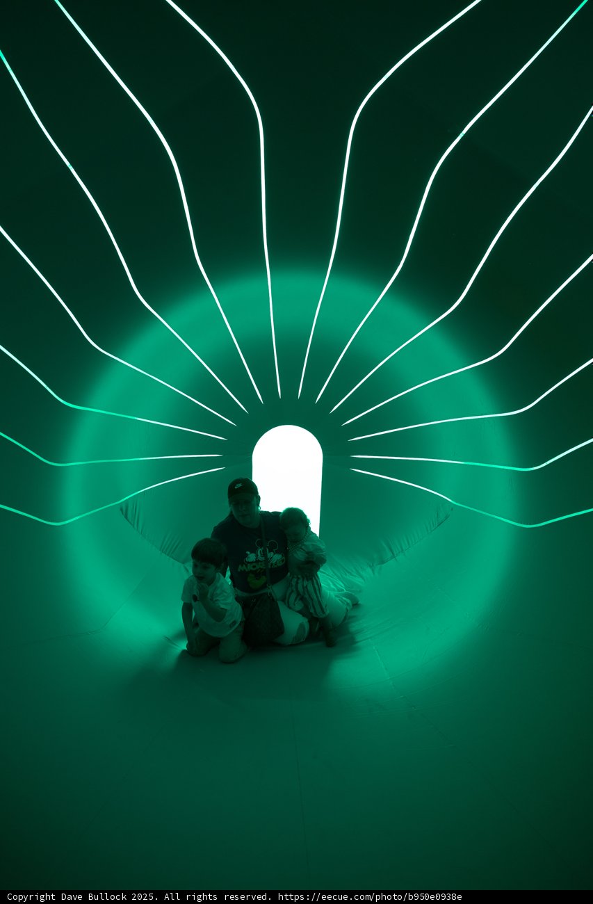 Illuminated Family Moments