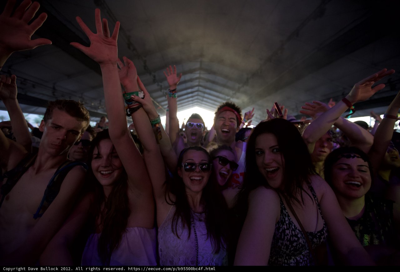 Music Festival Madness