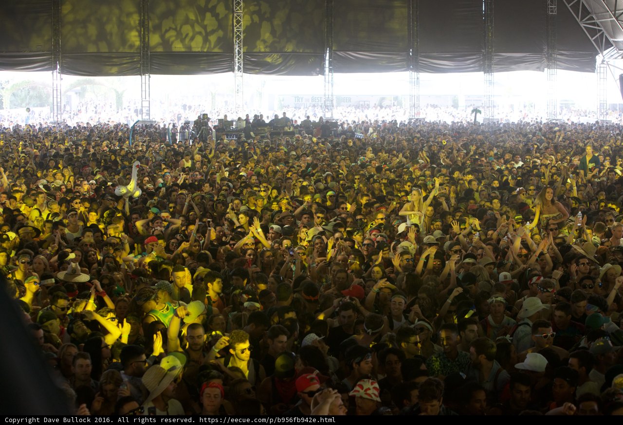 A Sea of Music Lovers