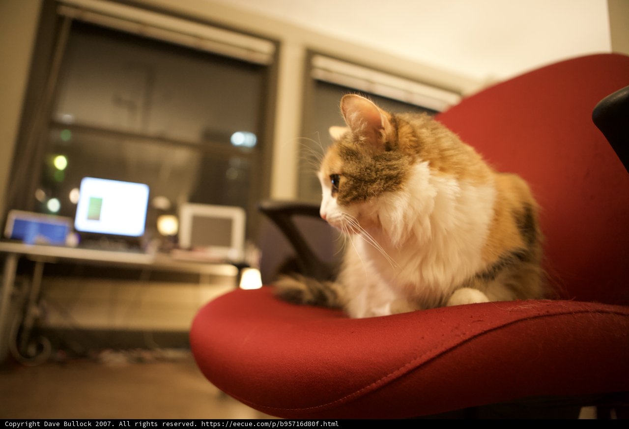 Red Chair, Computer Lair
