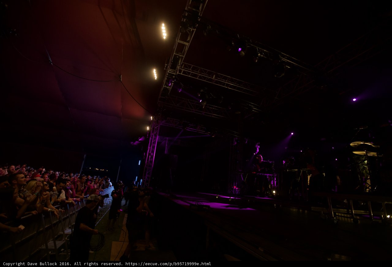 Night at the Concert