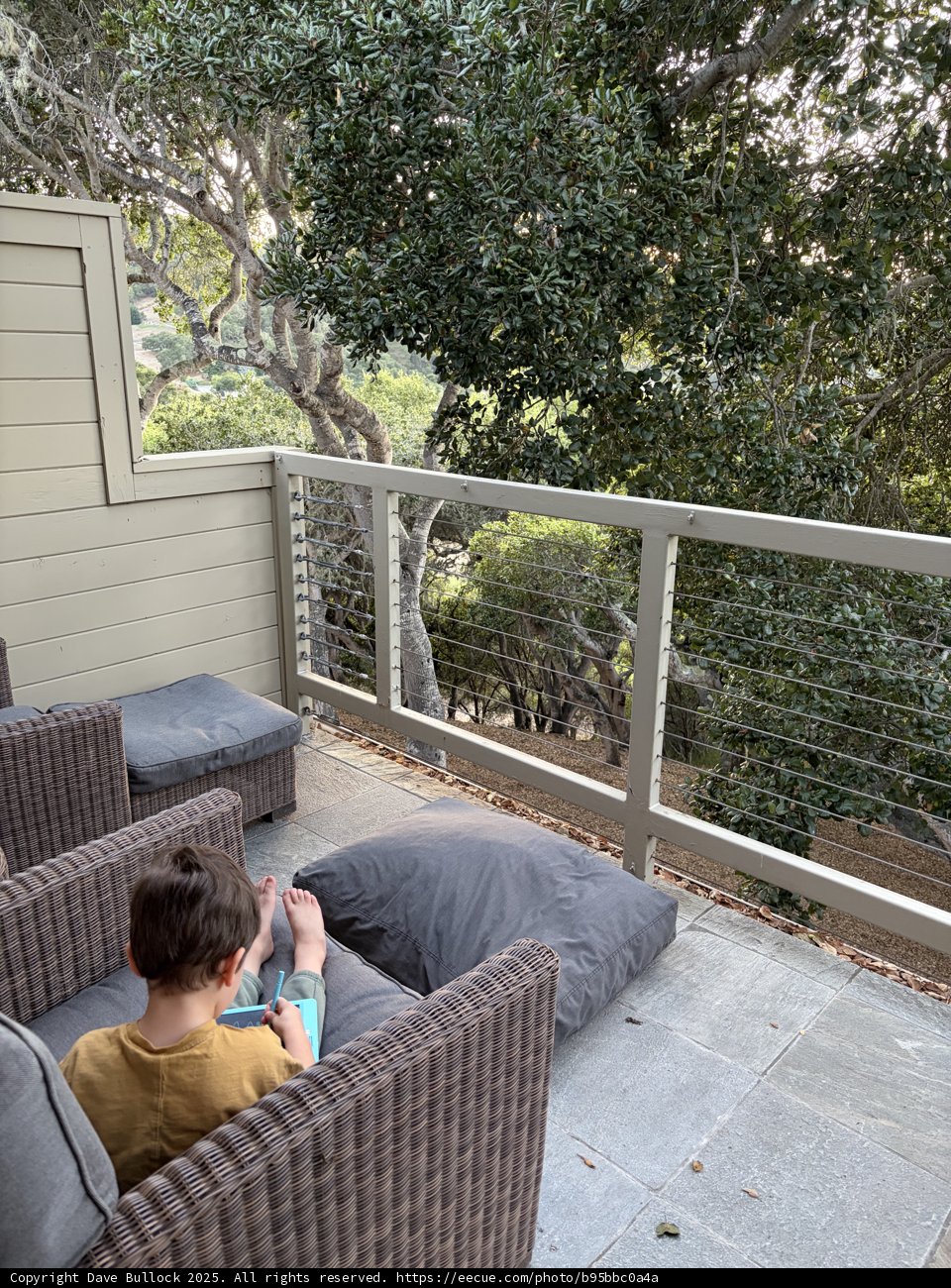Tranquil Moments on the Balcony