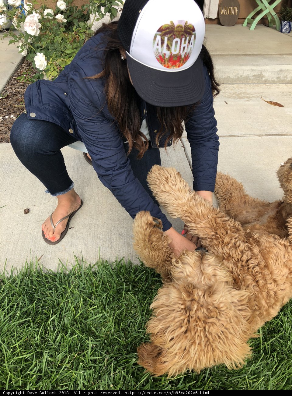 Woman and Her Poodle enjoying the outdoors
