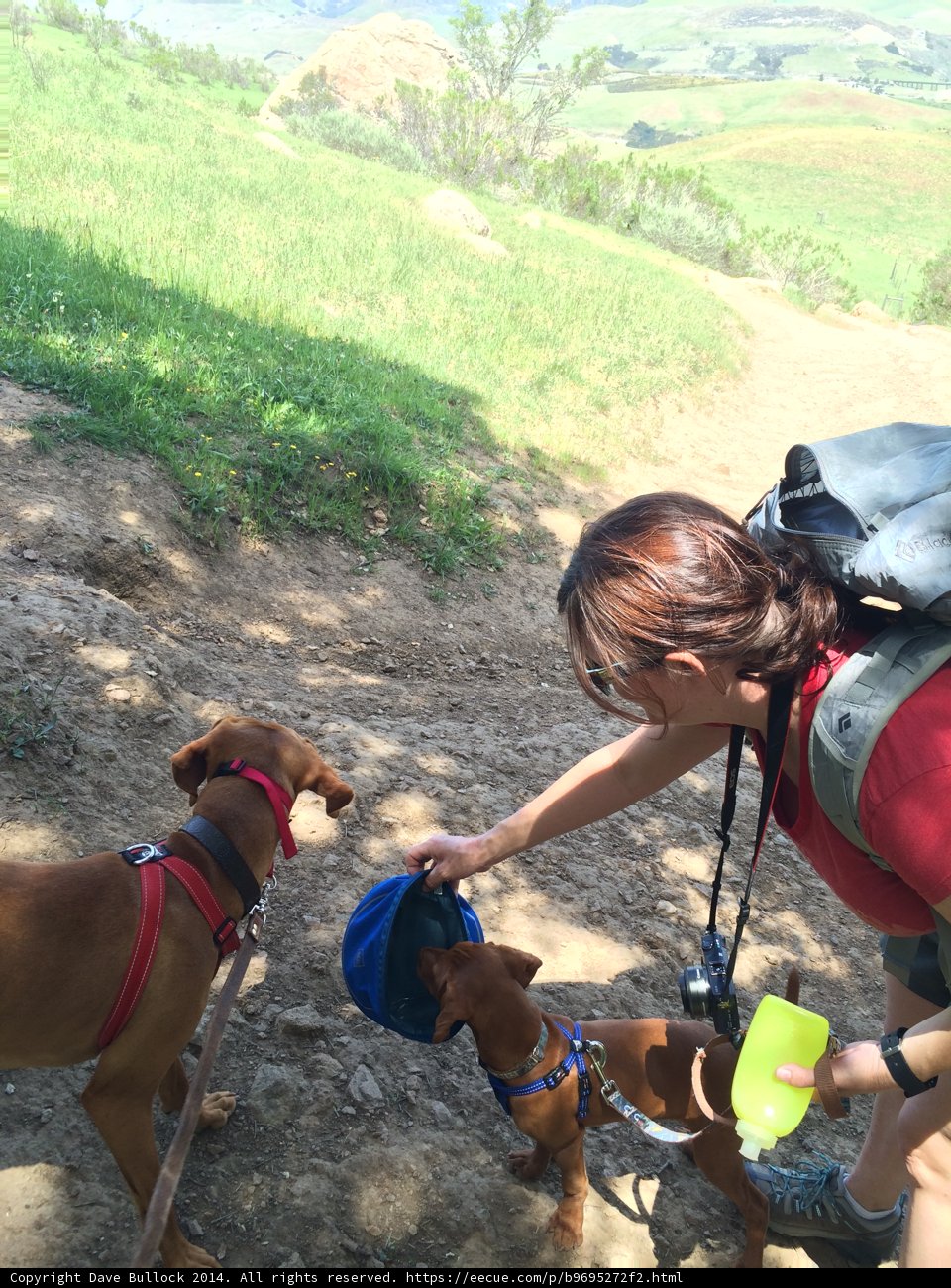 Adventures on the Trail