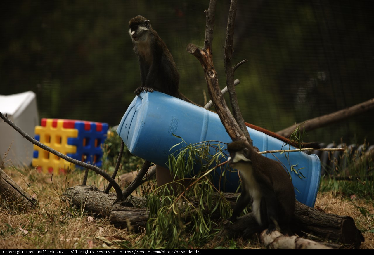 Rendezvous on a Blue Barrel