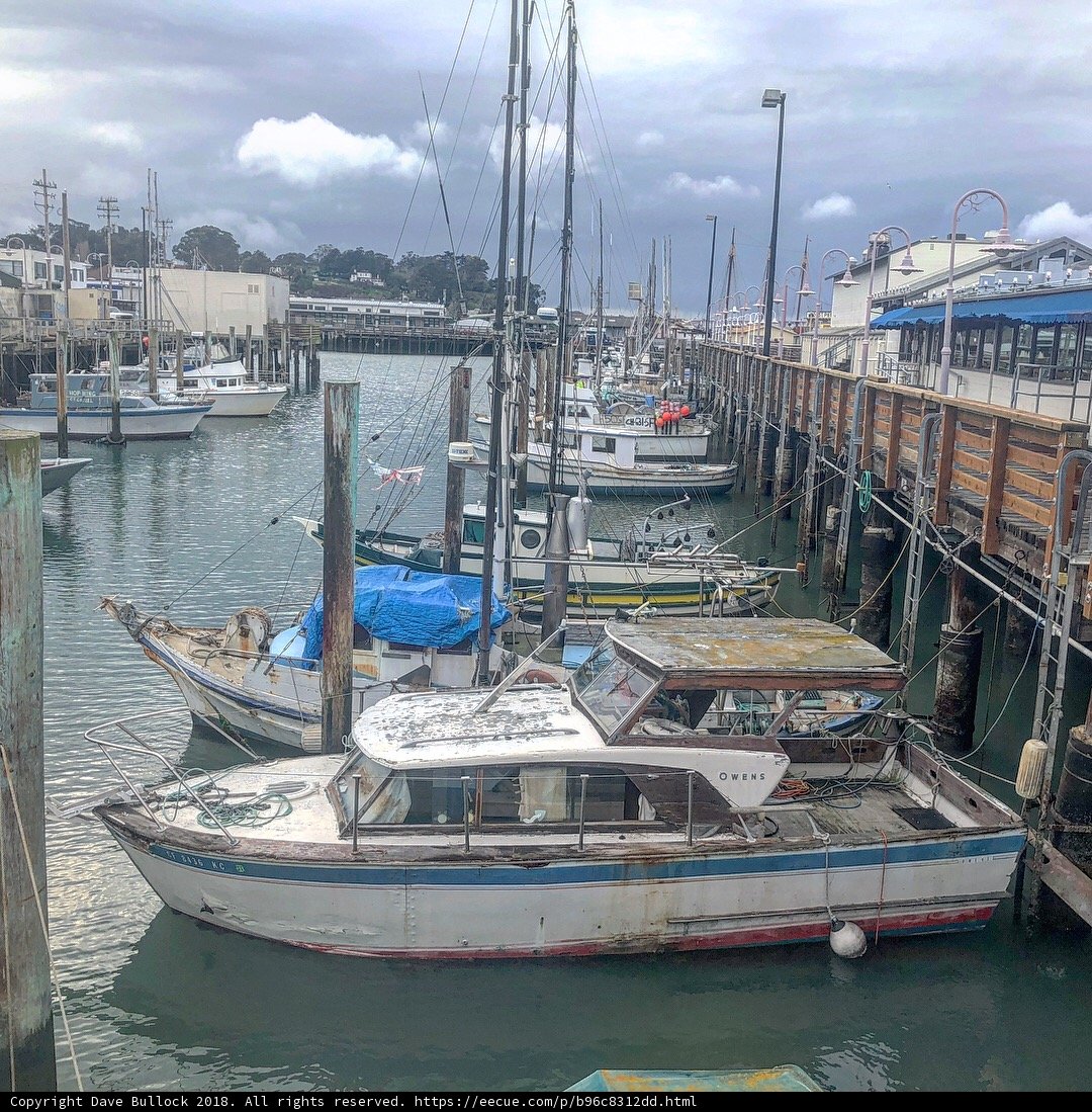 Boats in the Harbor