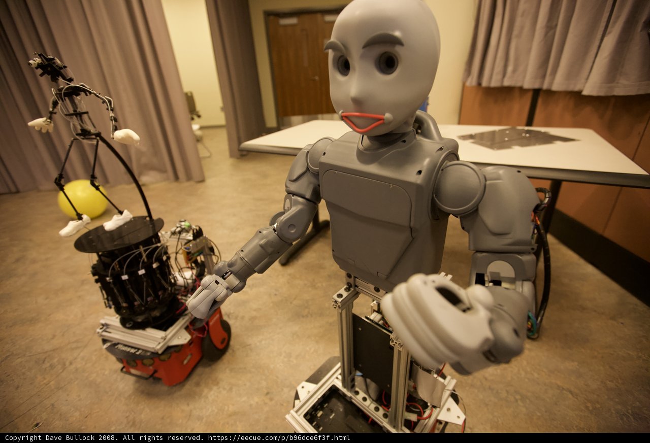 Robot Duo in Action