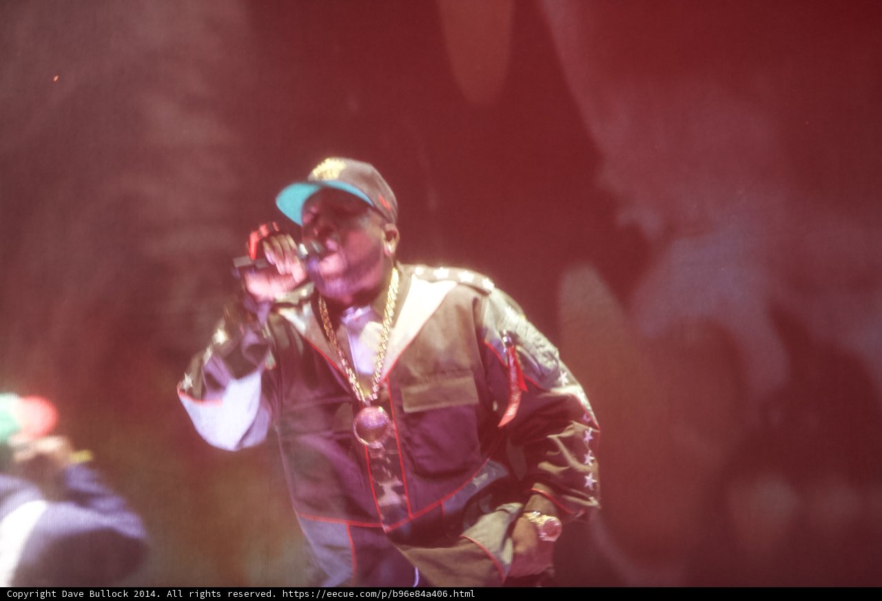 Spotlight on the Entertainer