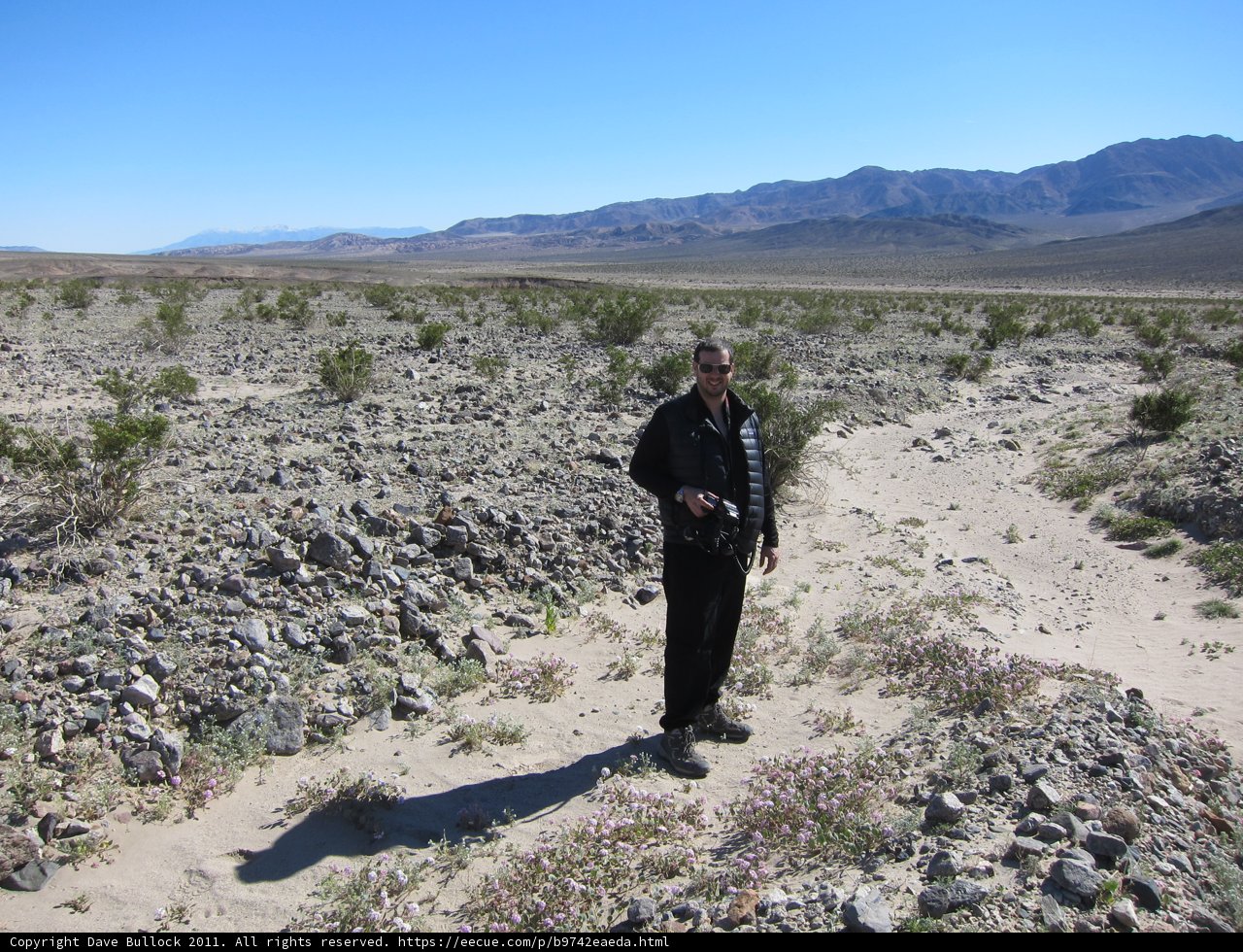 Alone in the Wilderness