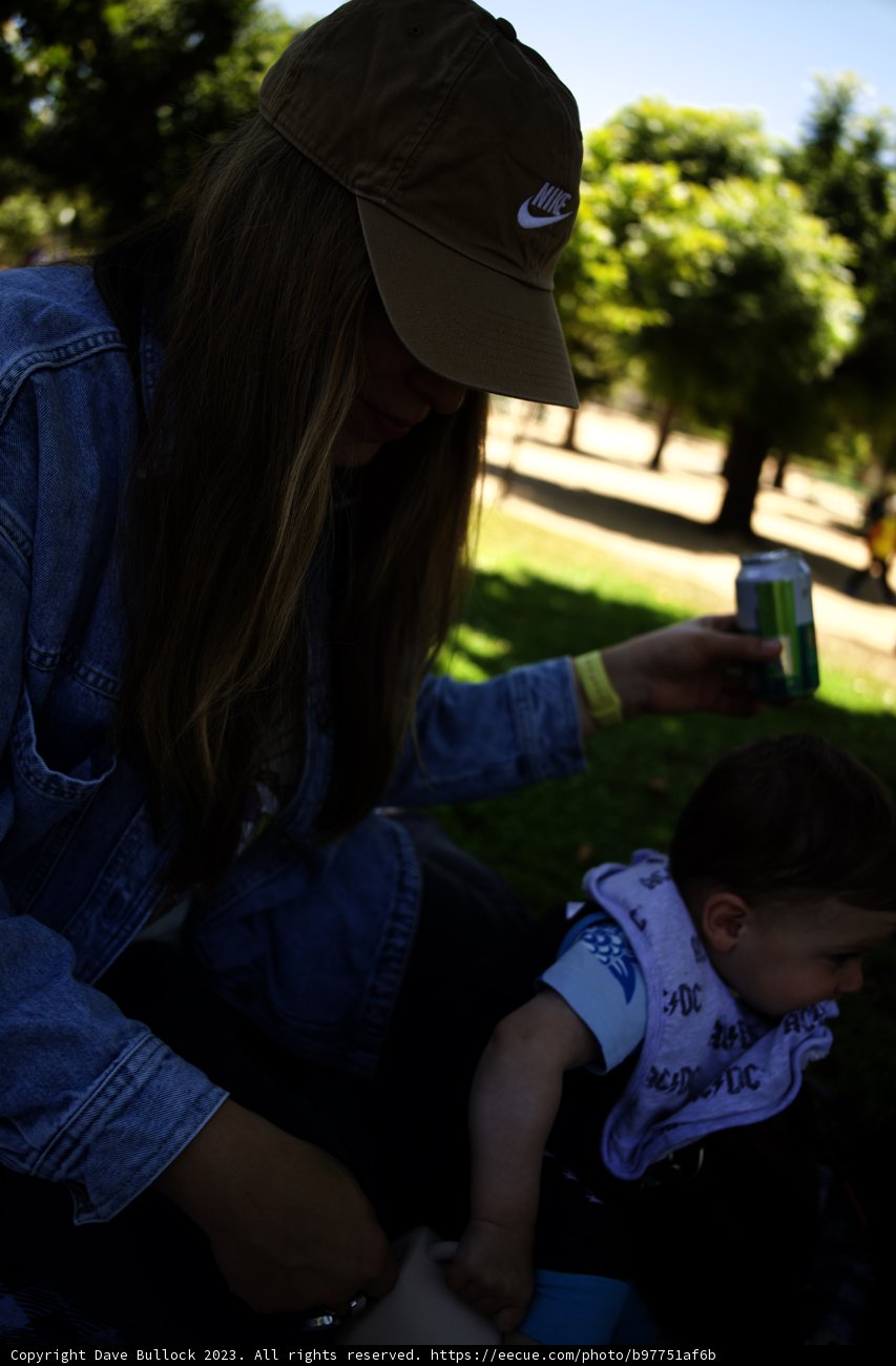 Summer Memories at the California Academy of Sciences