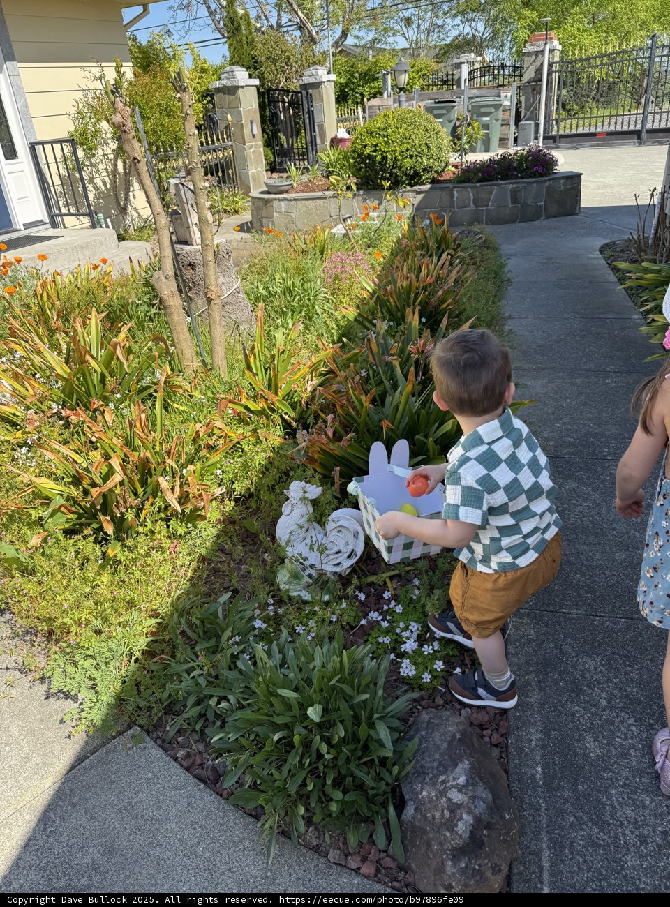 Springtime Discoveries