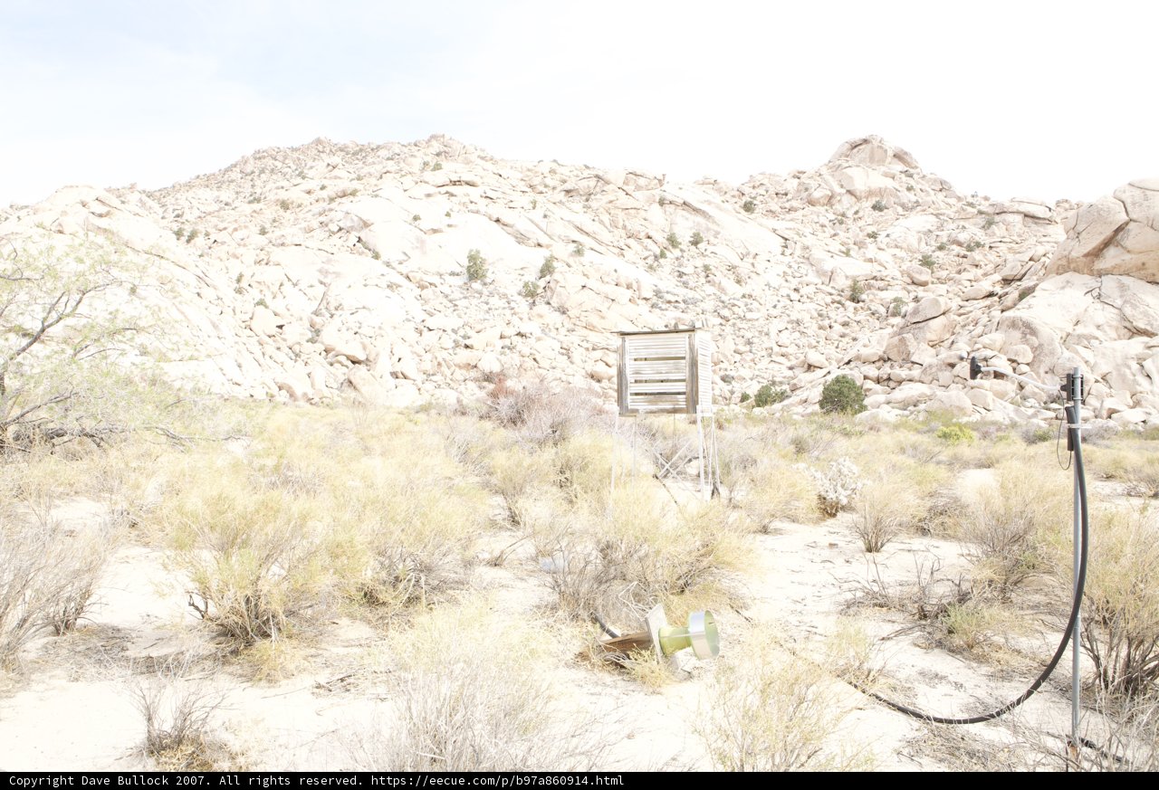 Oasis in the Desert