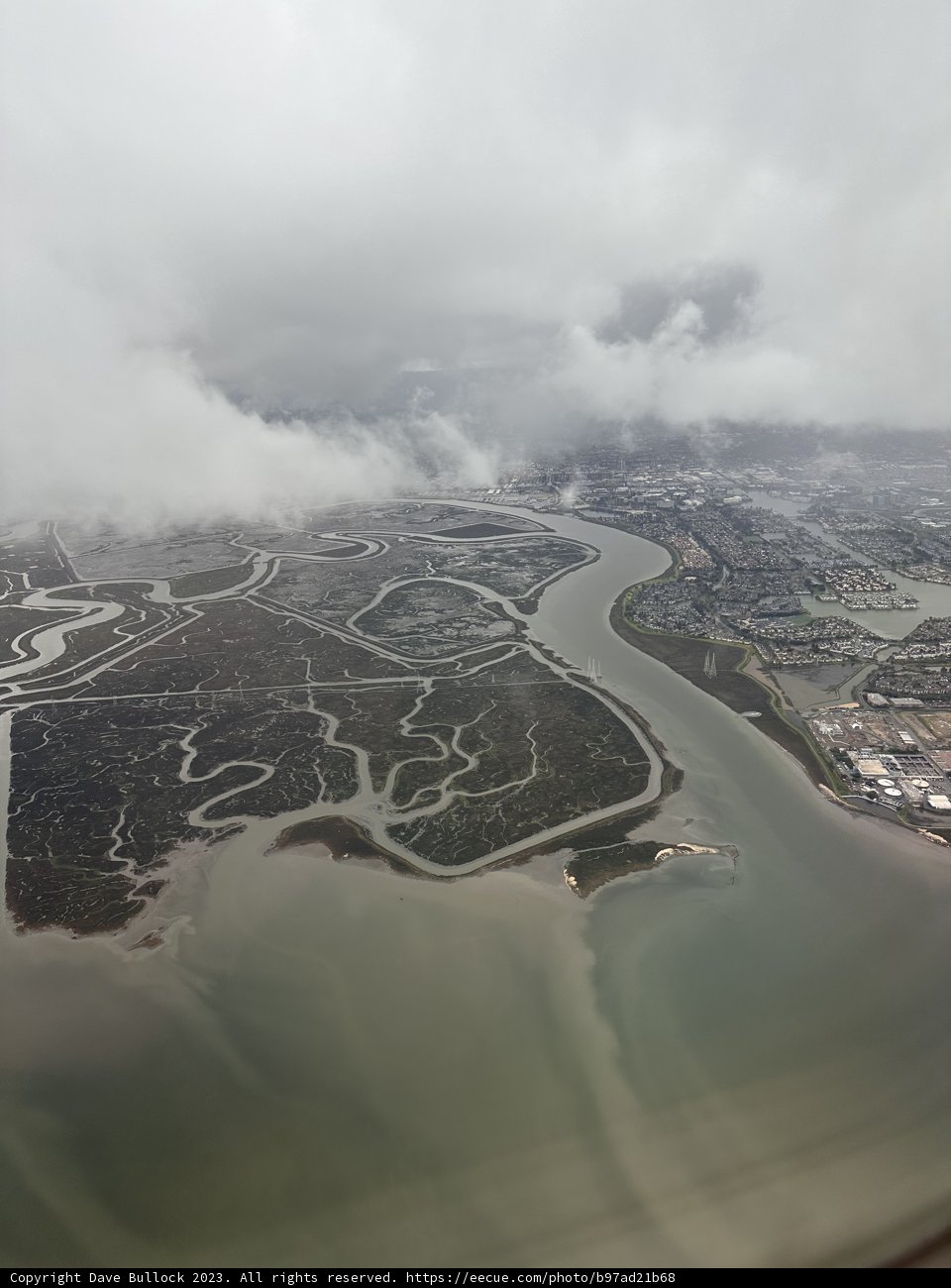 Soaring Above the Urban Oasis