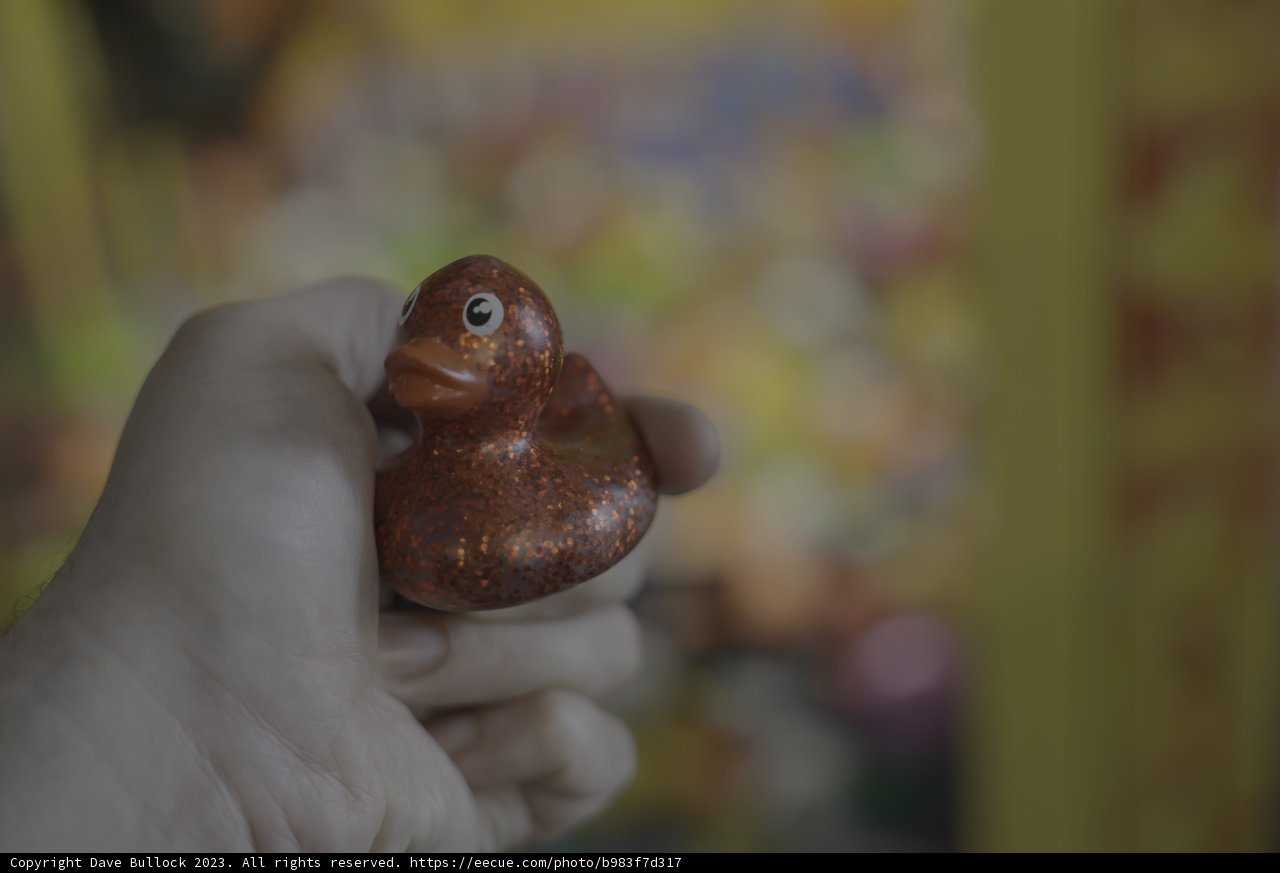 The Little Toy Duck