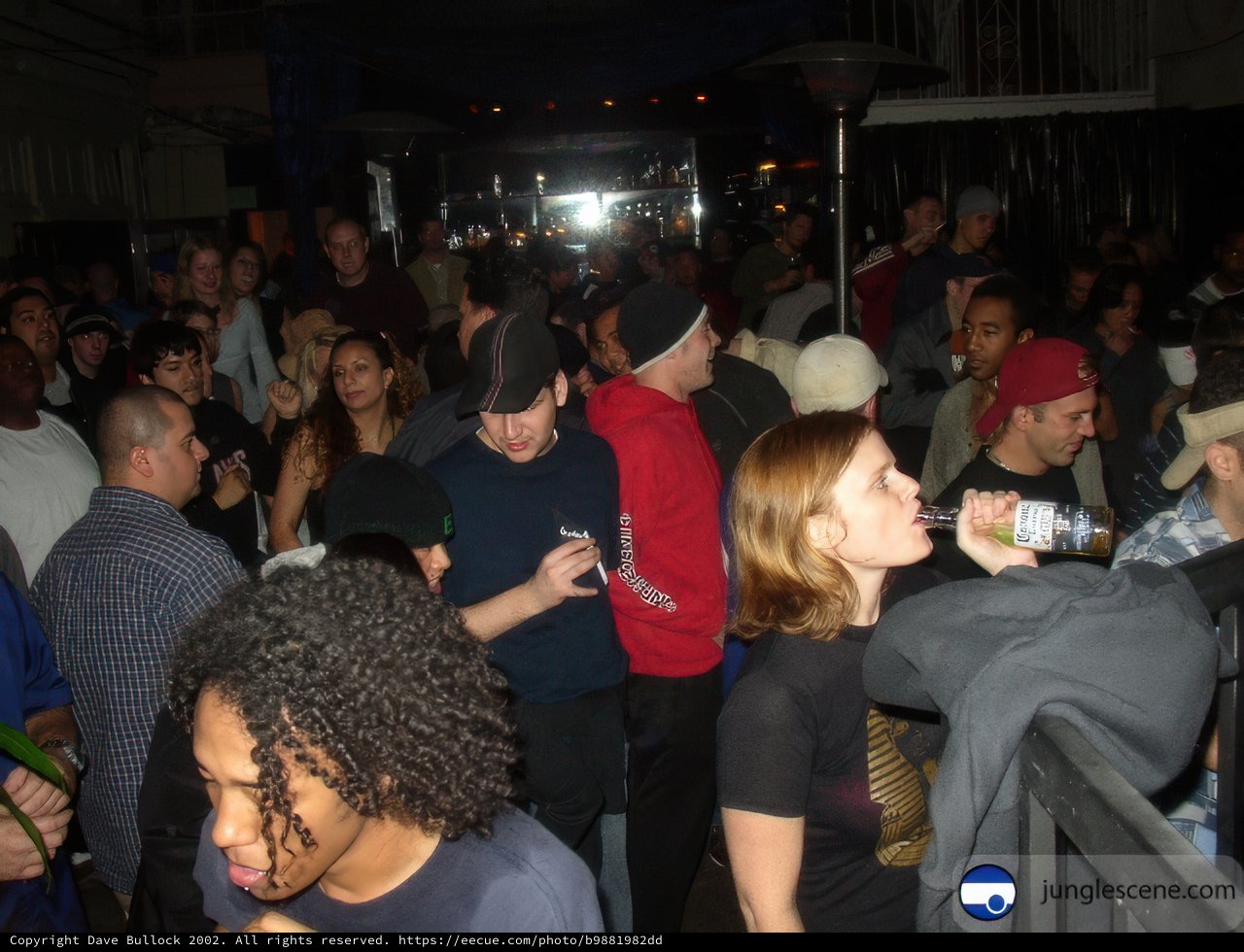 Party Crowd at Nightclub