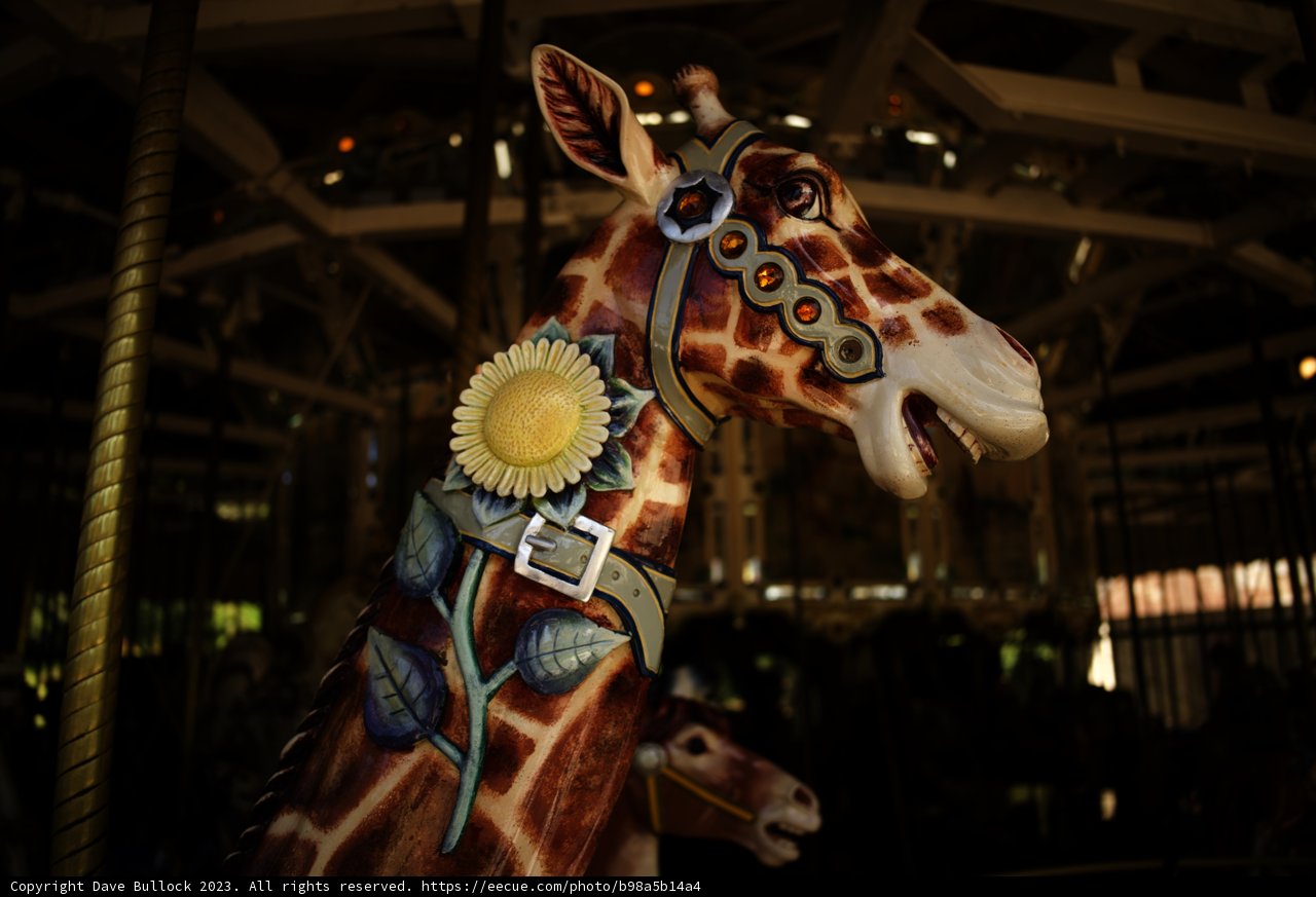 The Carousel Giraffe at Golden Gate Park