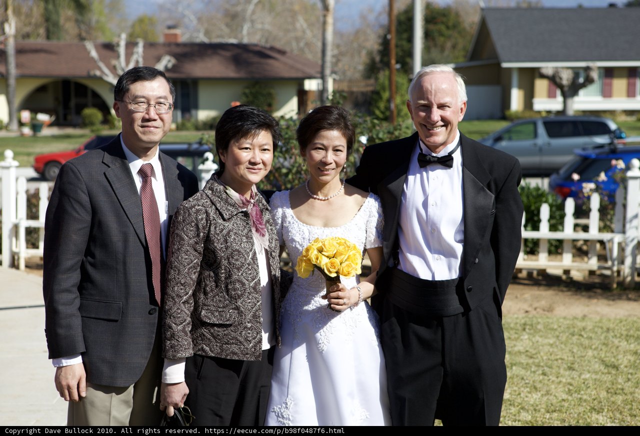 Wedding Party Poses for a Beautiful Photograph