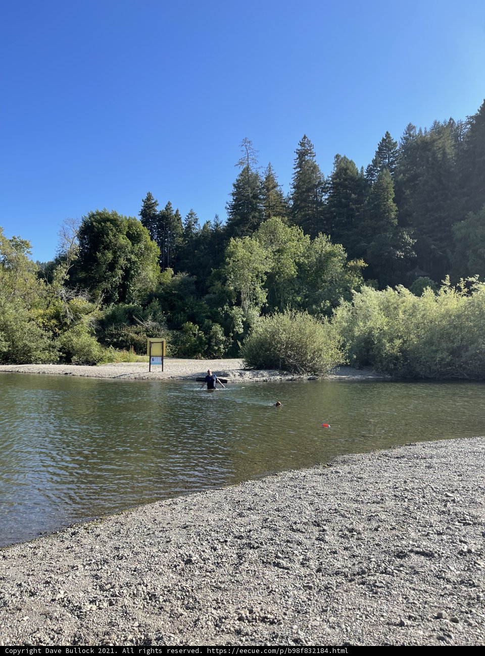 Swimming in Russian River