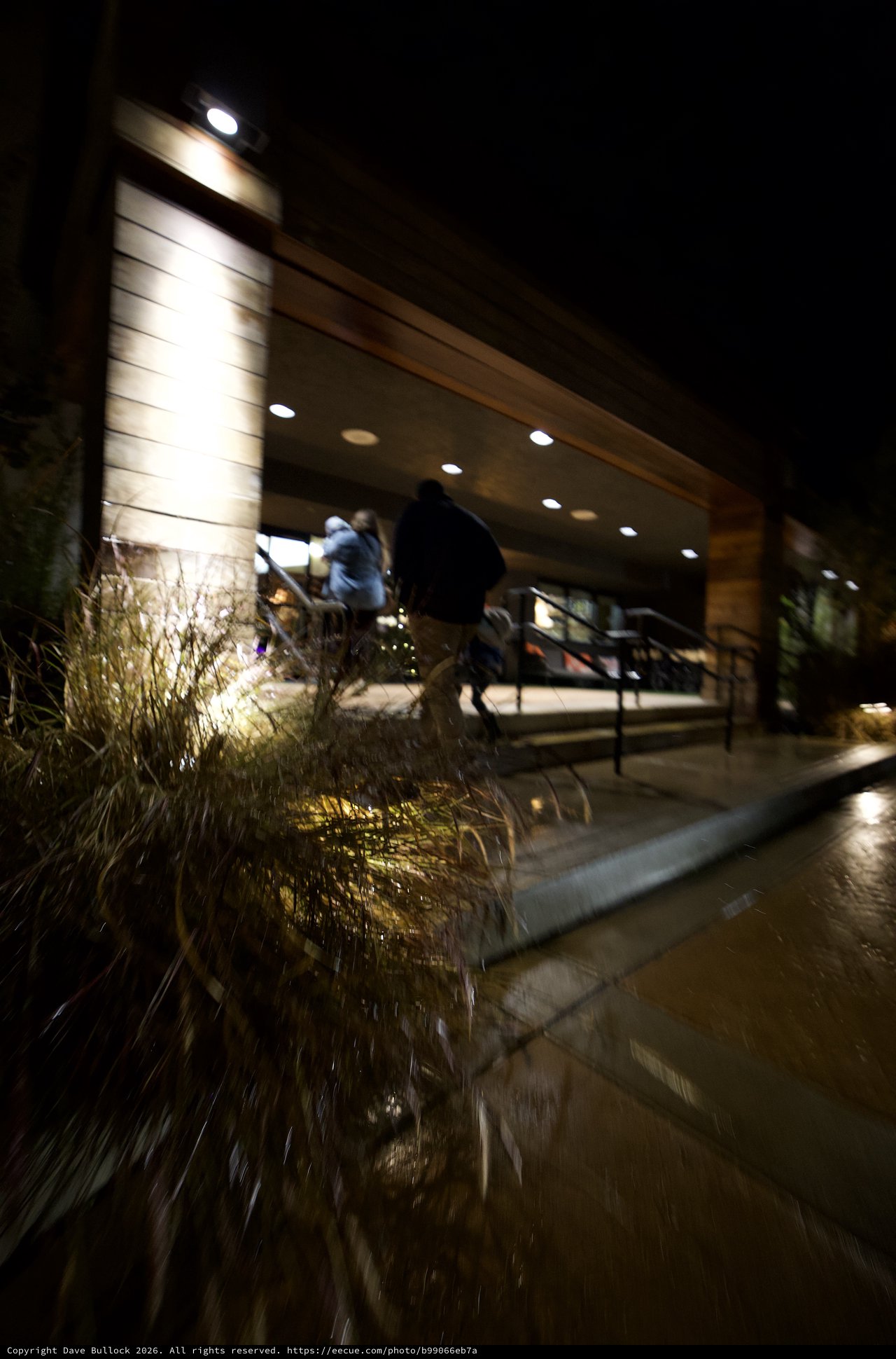 Modern Restaurant Entrance Illuminated at Night