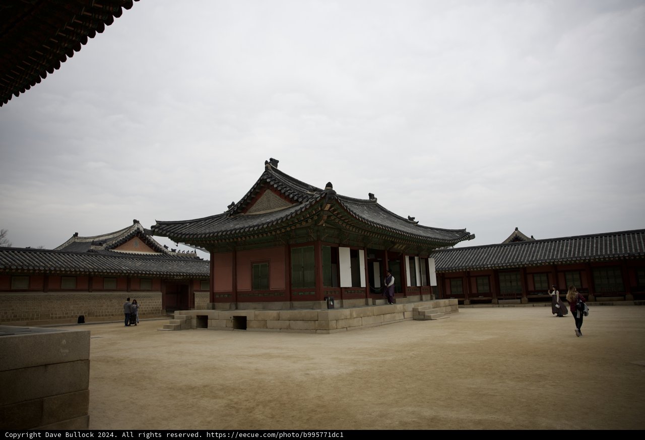 Timeless Traditions at the Royal Palace in Seoul