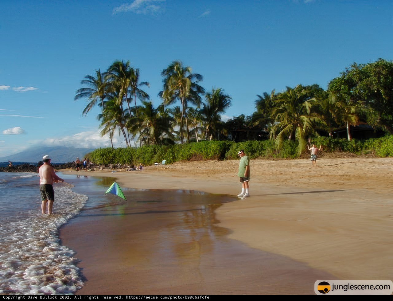 Fun in the Sun on a Hawaiian Beach