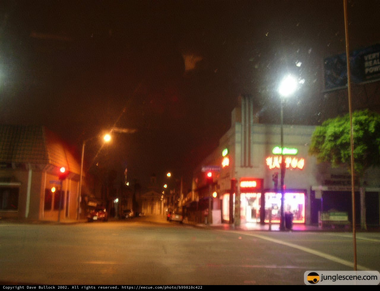 Night Life in the Metropolis