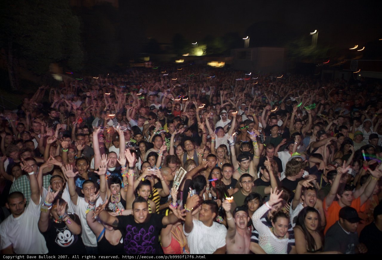 Electric Crowd at EDC Concert