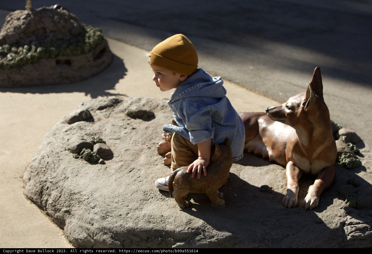 A Heartfelt Bond: Wesley and His Canine Companion