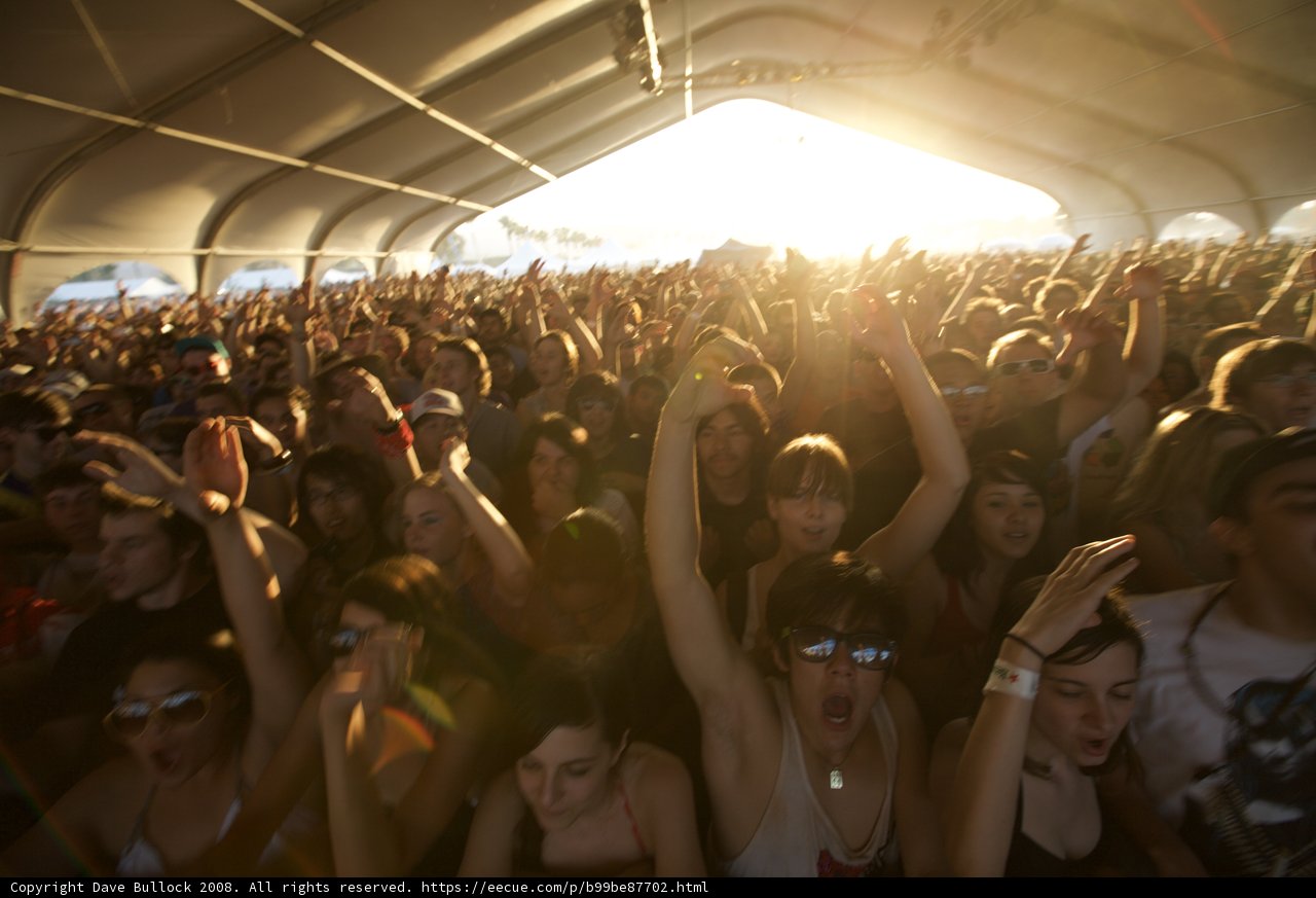 2008 Coachella music festival crowd