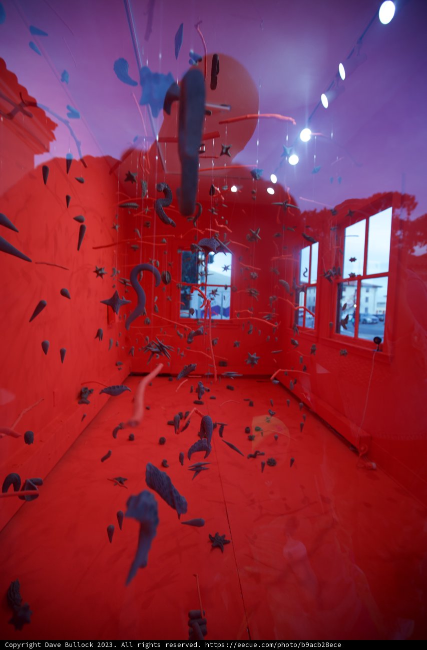 Whimsical Reflections from a Crimson Room