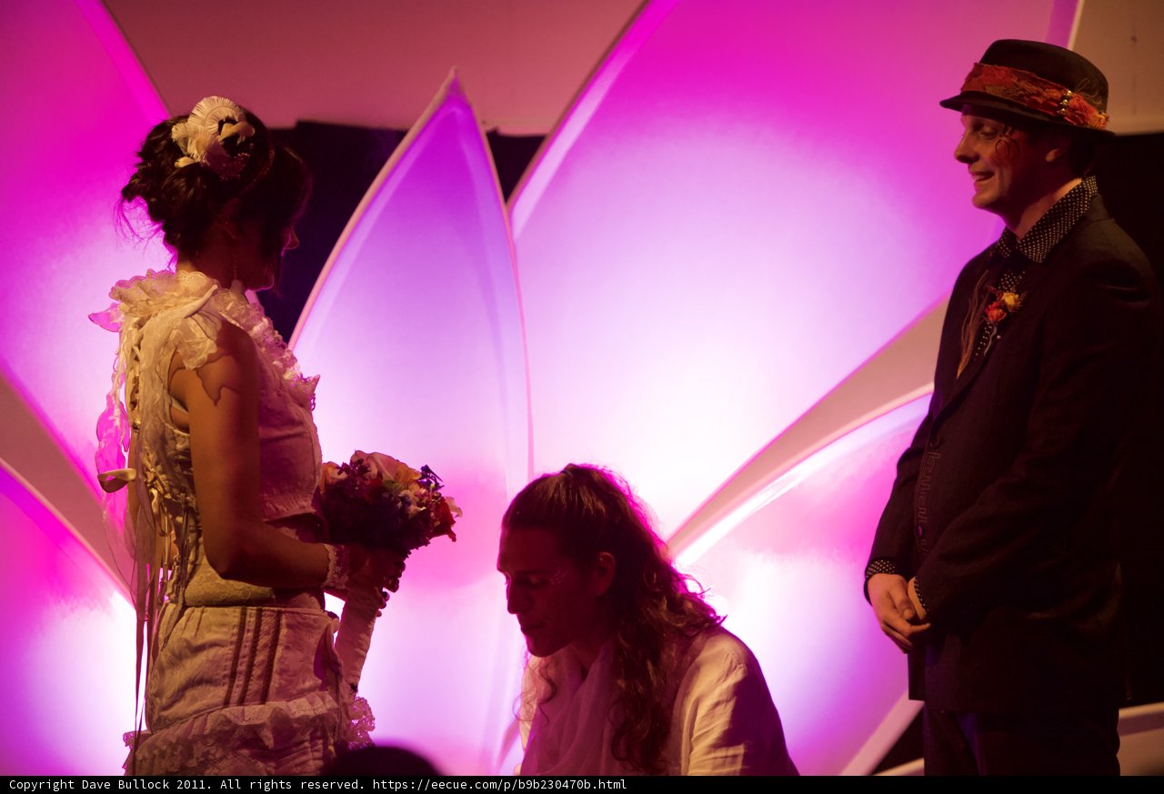 Purple Hues of Love