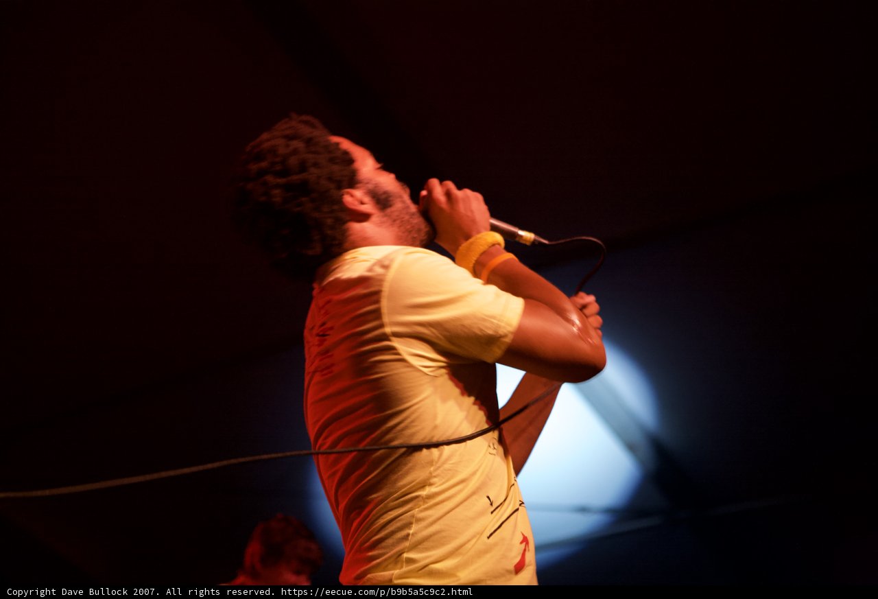 Singing Solo under Coachella Lights
