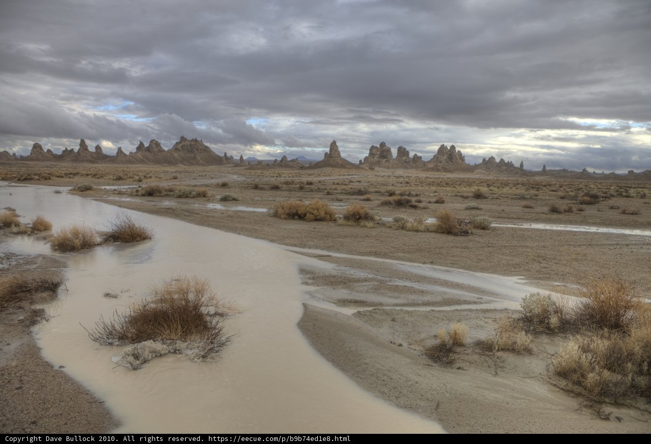 Desert Oasis