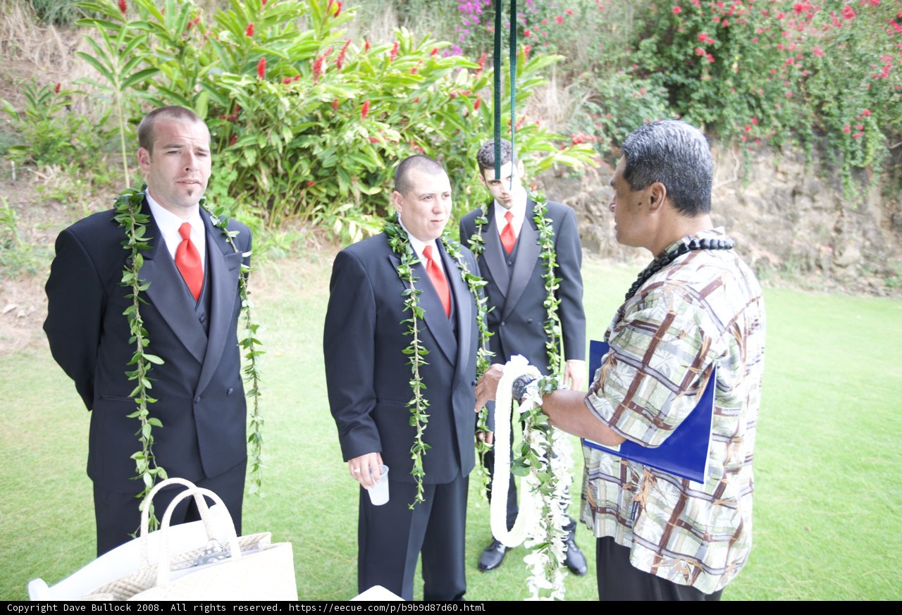 Hawaiian Wedding Ceremony at Kapiolani Park