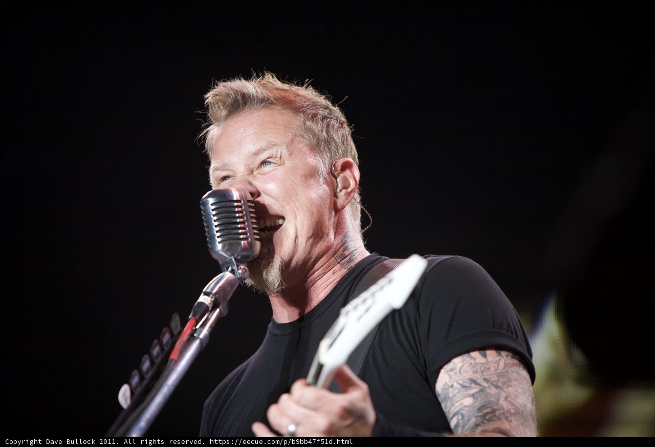 Metallichead Rocks Big Four Concert