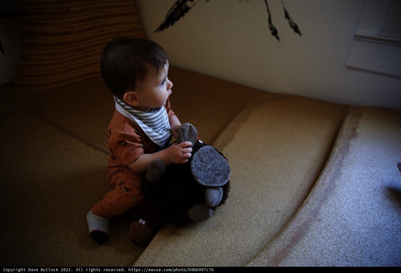 A Cuddly Moment at Bay Area Discovery Museum