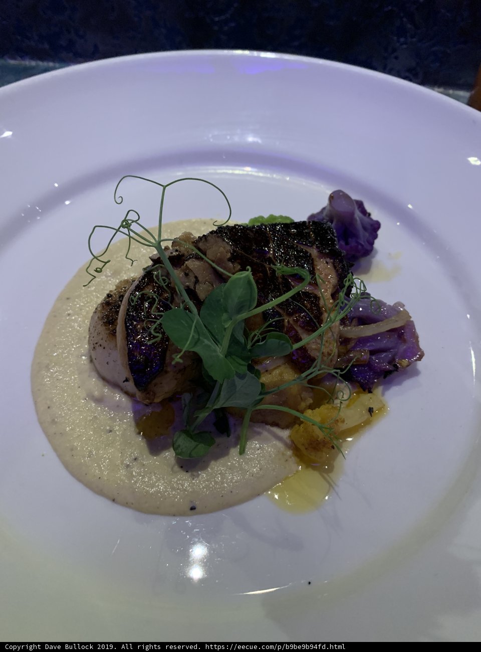 Artfully Plated Meal