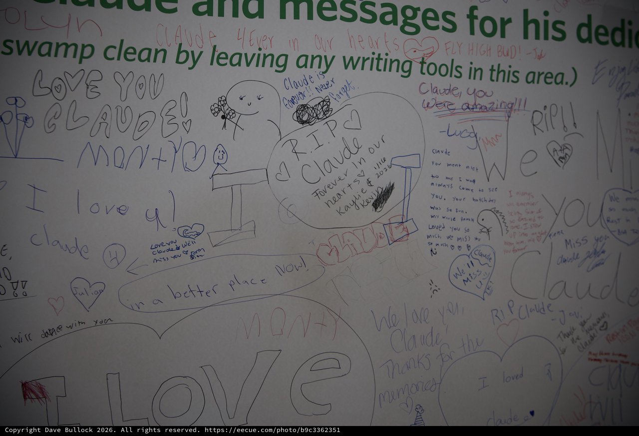 Memorial Wall Tribute with Heartfelt Messages and Drawings