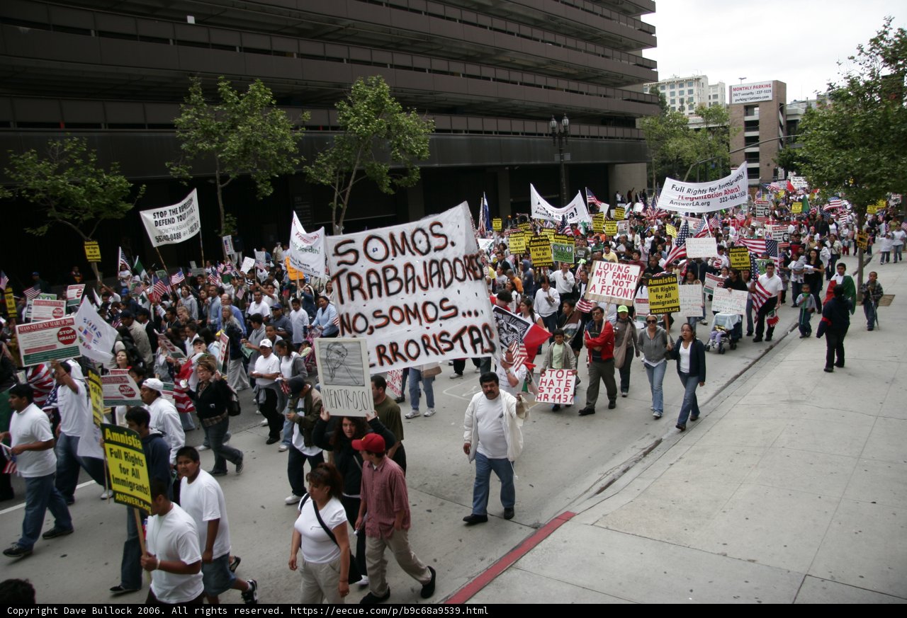 Student Protestors Make a Statement with Banners and Signs