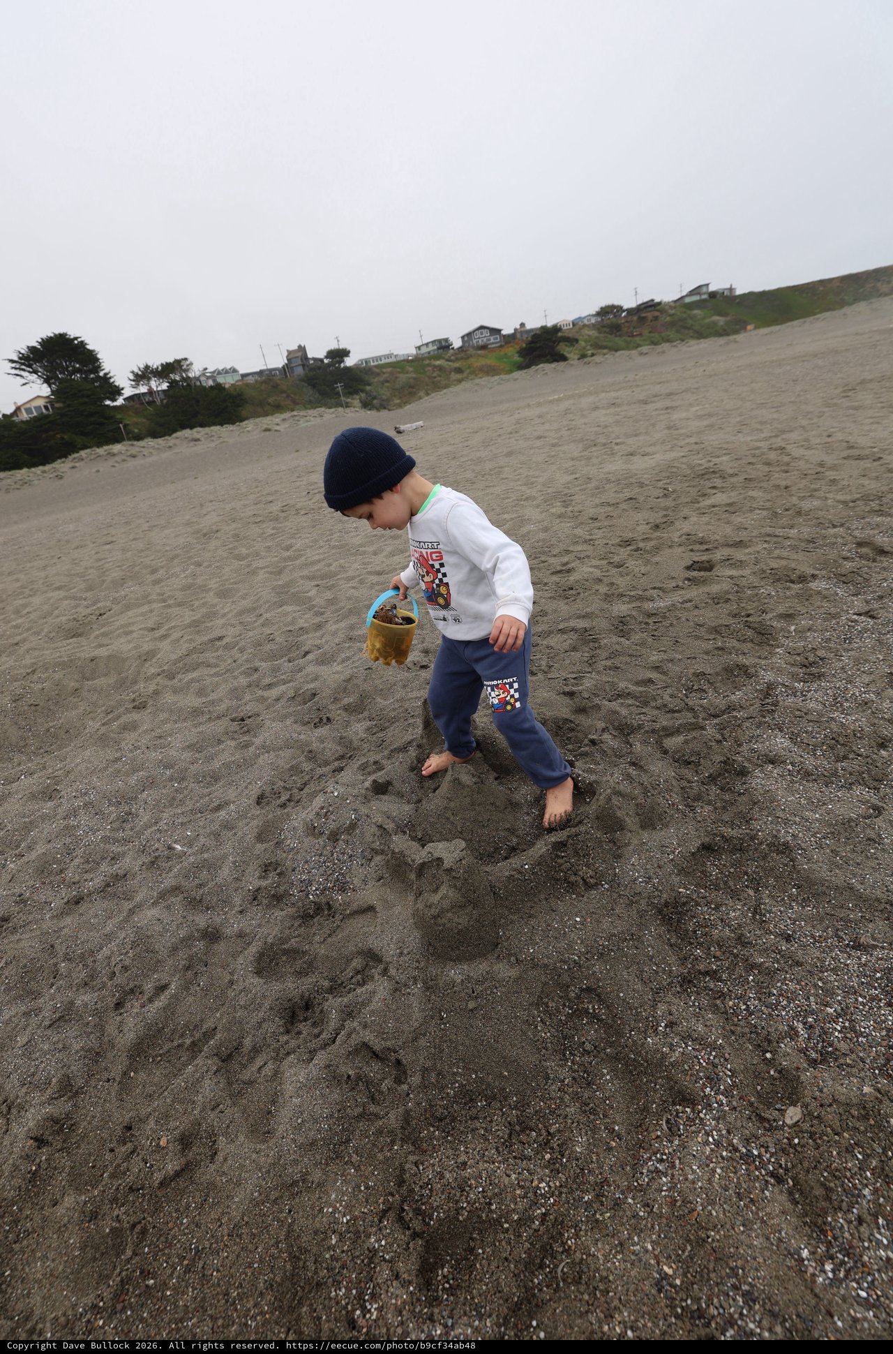 Young Boy Exploring Foggy Beach with Sand Bucket