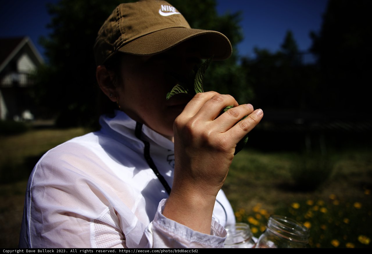 Blooming Minds in Regenerative Gardening