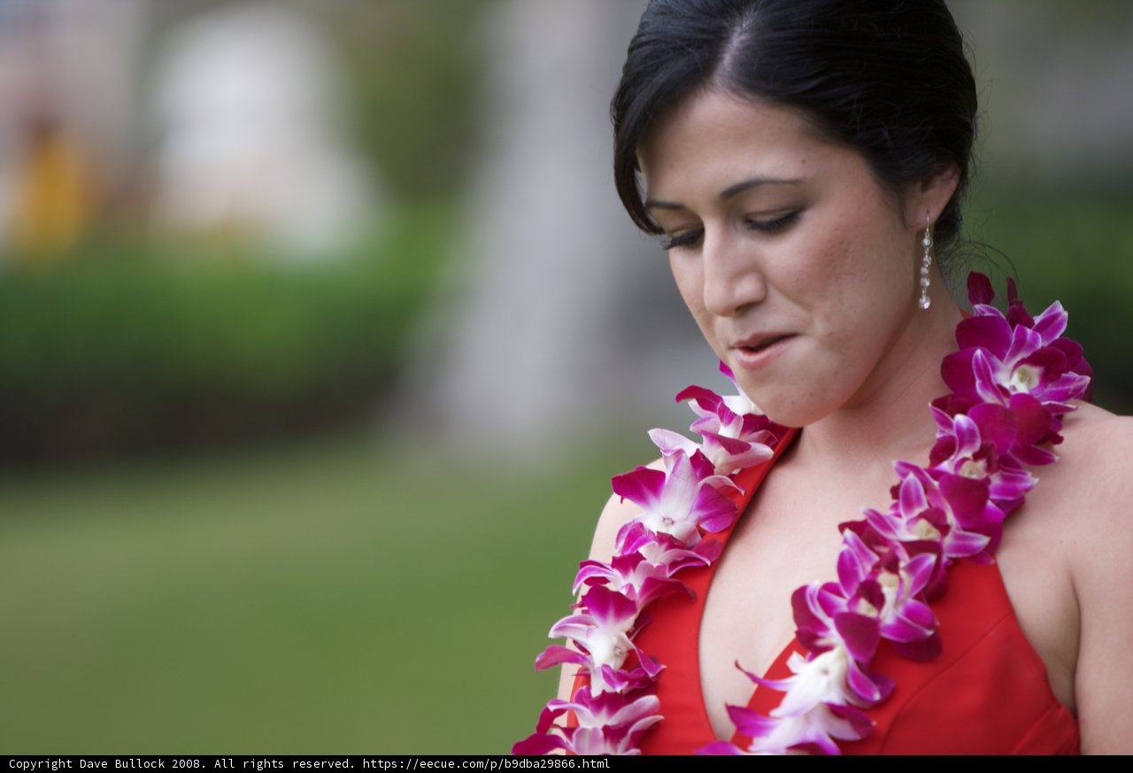 Hawaiian Beauty