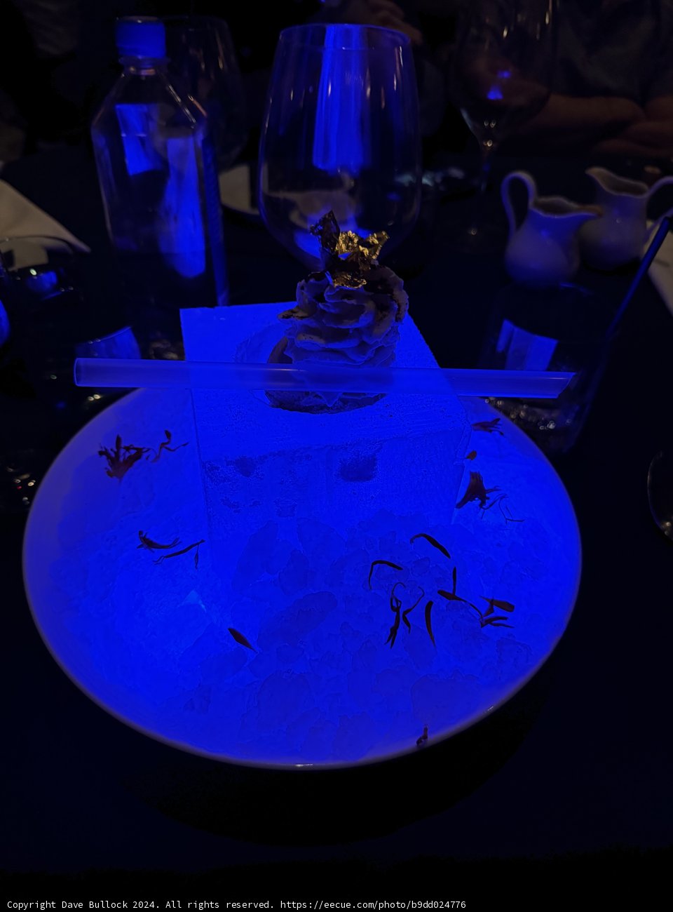 Luminescent Delights