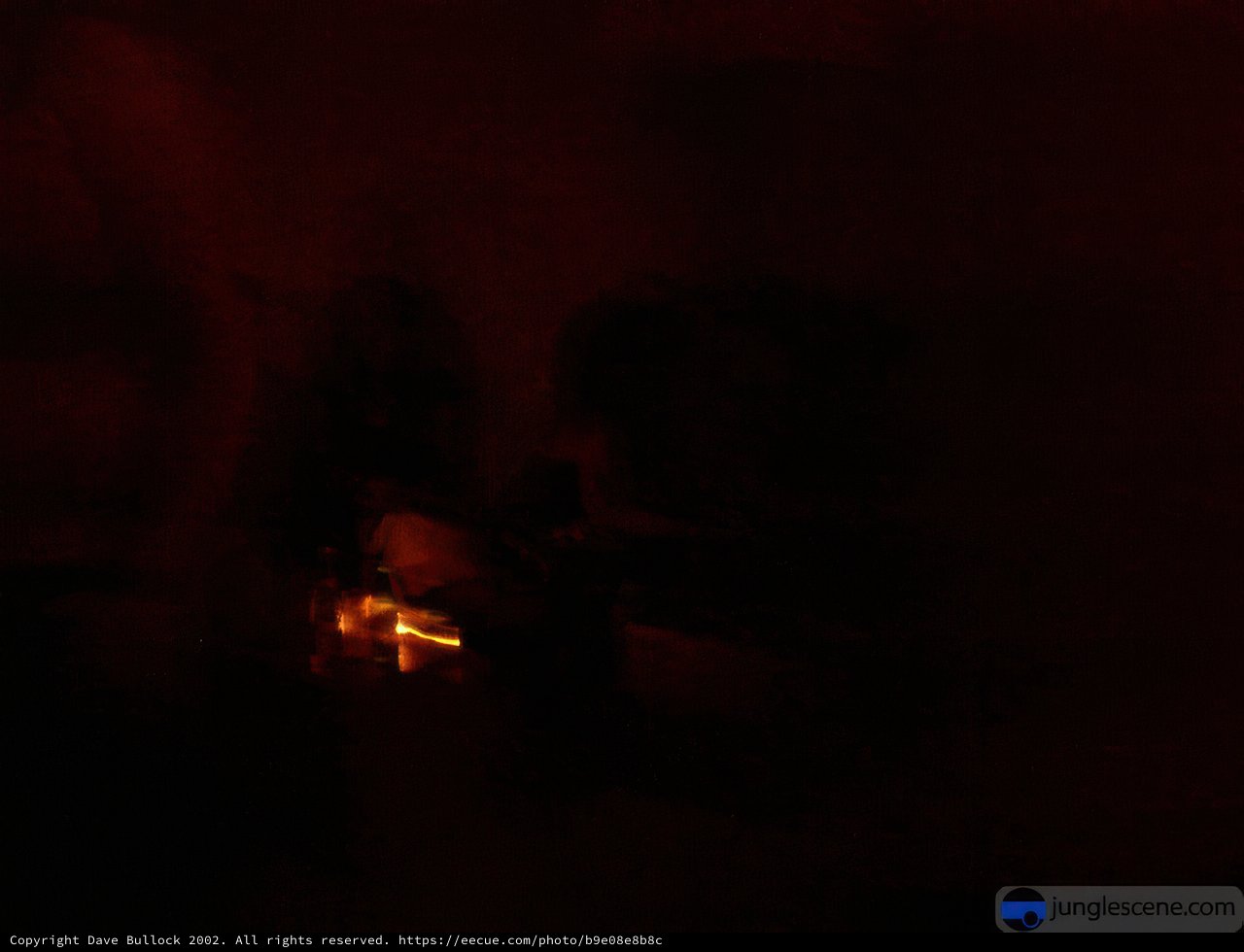 Shadowy Figure by the Fire