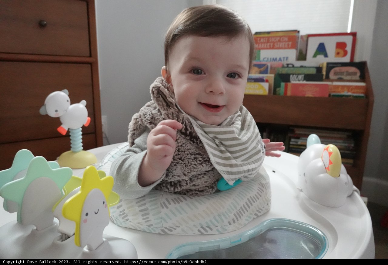 Joy in the High Chair, 2023