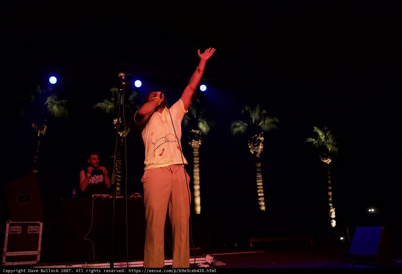 Solo Performance Under the Palm Trees